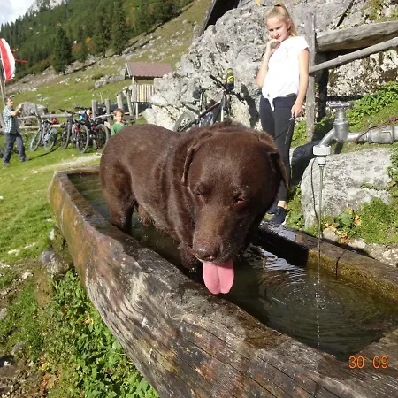 Huttenzauber Alpinchalet 3