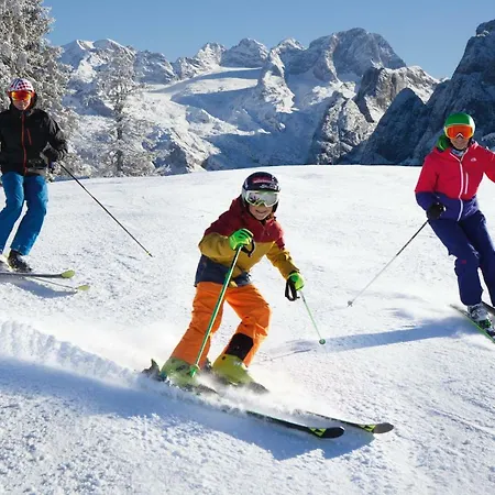 Huttenzauber Alpinchalet 3 Annaberg im Lammertal
